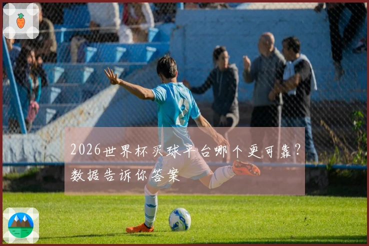 2026世界杯买球平台哪个更可靠？数据告诉你答案