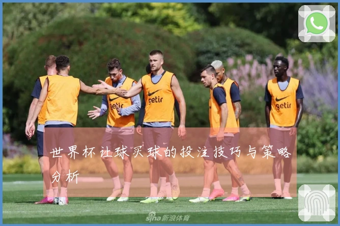 世界杯让球买球的投注技巧与策略分析