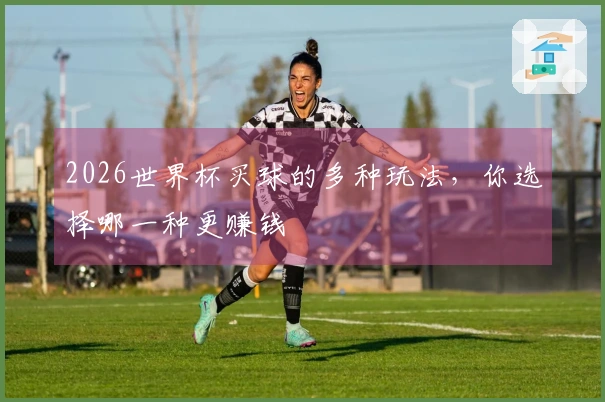 2026世界杯买球的多种玩法，你选择哪一种更赚钱