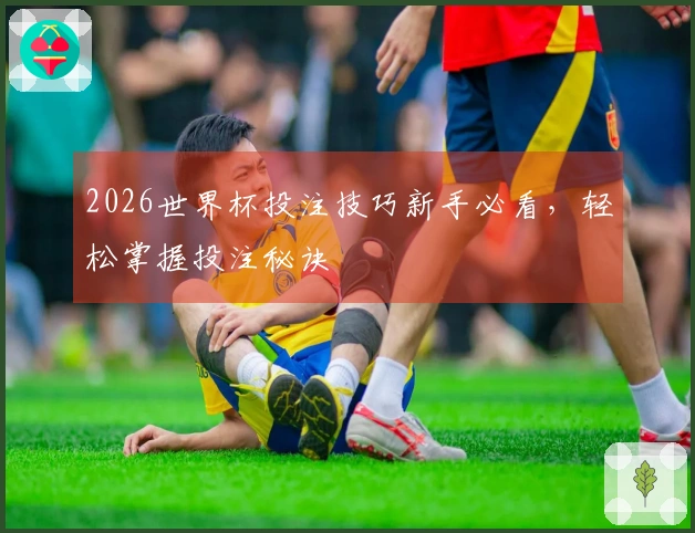 2026世界杯投注技巧新手必看，轻松掌握投注秘诀