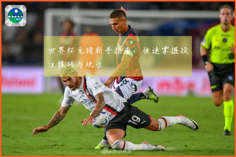 世界杯竞猜新手指南，快速掌握投注技巧与玩法