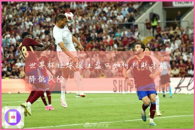 世界杯让球投注盘口如何判断才能降低风险