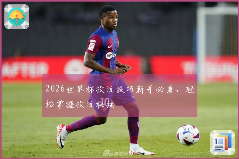 2026世界杯投注技巧新手必看，轻松掌握投注秘诀
