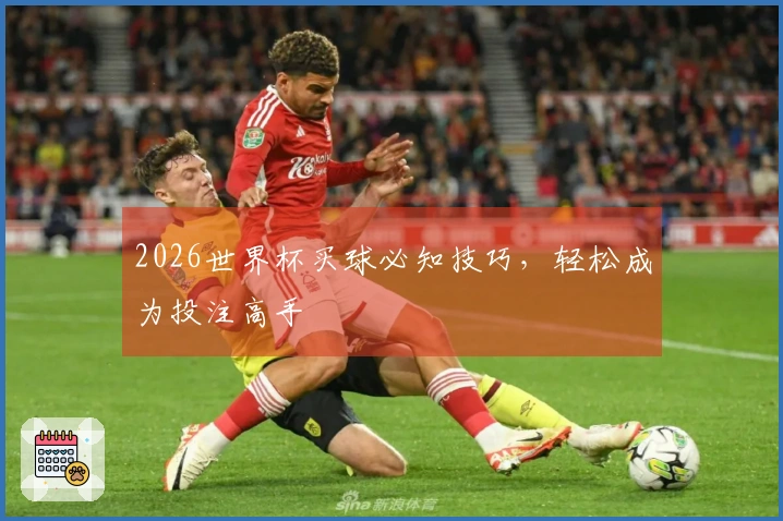 2026世界杯买球必知技巧，轻松成为投注高手