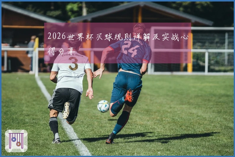 2026世界杯买球规则详解及实战心得分享