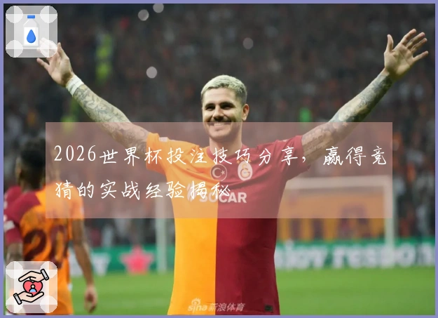 2026世界杯投注技巧分享，赢得竞猜的实战经验揭秘