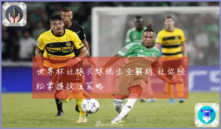 世界杯让球买球玩法全解析 让你轻松掌握投注策略