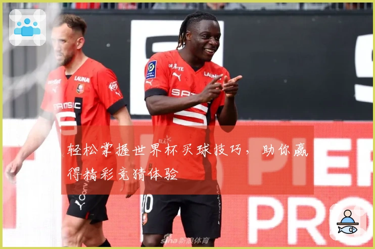 轻松掌握世界杯买球技巧，助你赢得精彩竞猜体验