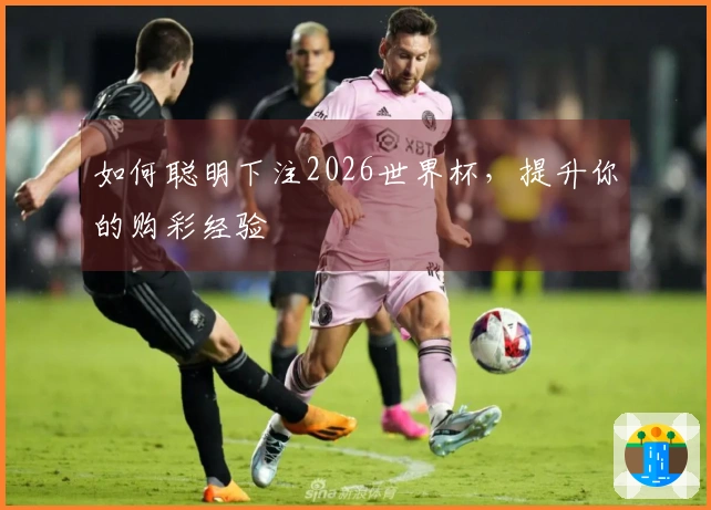如何聪明下注2026世界杯，提升你的购彩经验