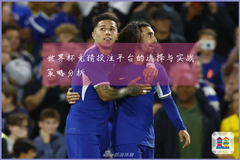 世界杯竞猜投注平台的选择与实战策略分析