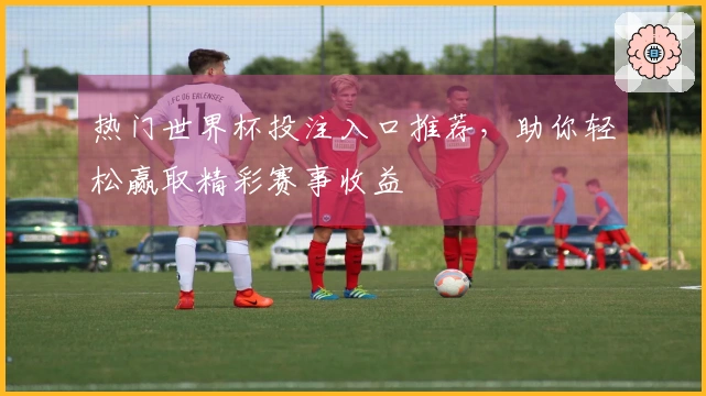 热门世界杯投注入口推荐，助你轻松赢取精彩赛事收益