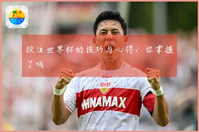 投注世界杯的技巧与心得，你掌握了吗